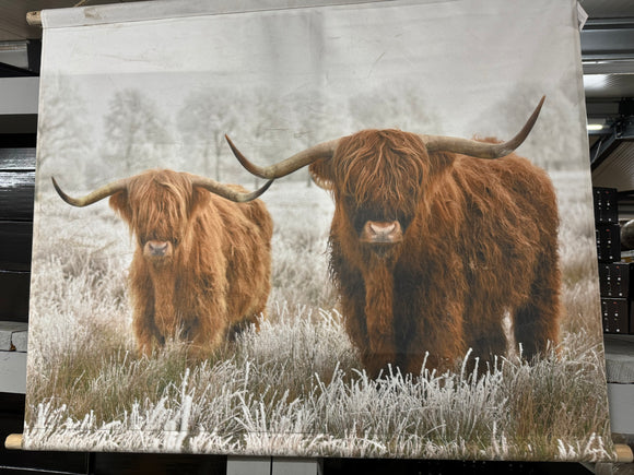 Doek Schotse Hooglanders