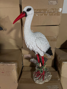 Ooievaar staand