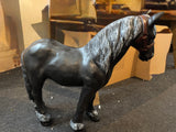 Zwart paard