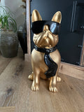 Gouden Bulldog met zonnebril