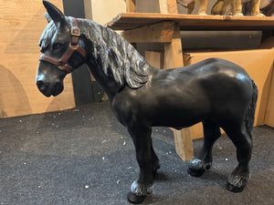 Zwart paard