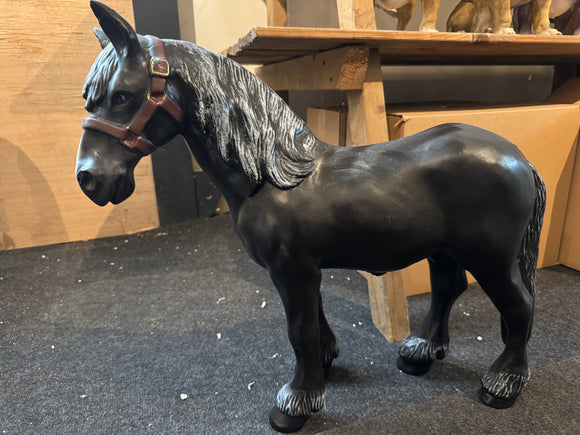 Zwart paard