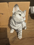 Poes grijs
