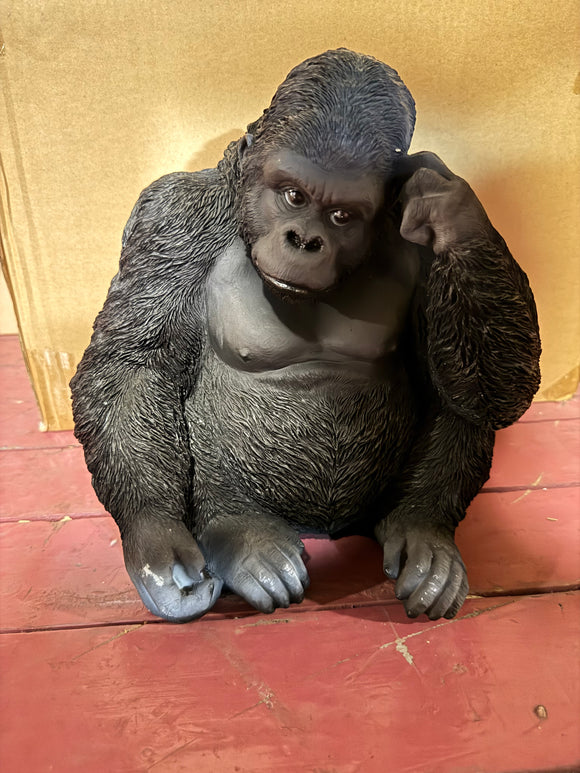 Denkende Gorilla