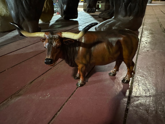 Texas longhorn stier