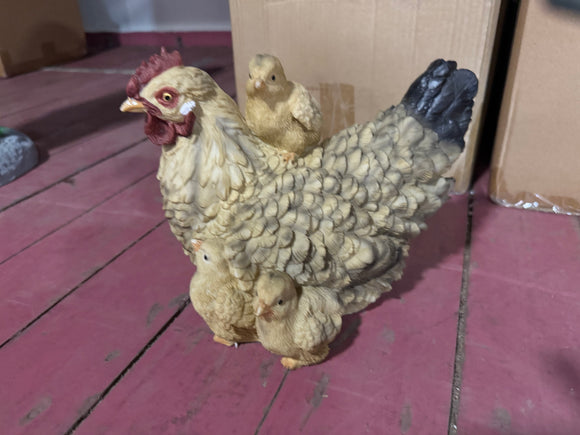 Kip met kuikens