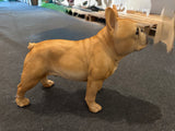 Franse bulldog (op ware grote)