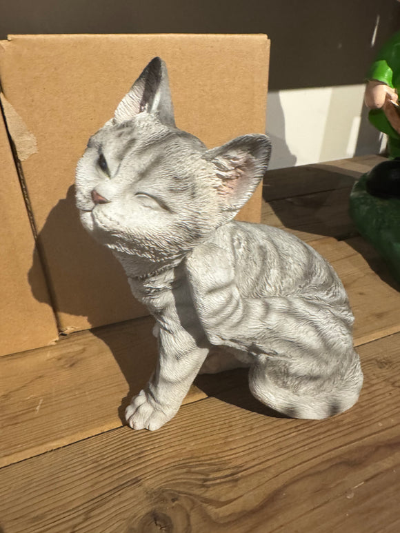 Poes grijs