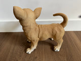 Chihuahua staand